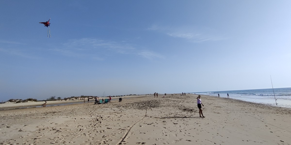 playas para perros en cadiz