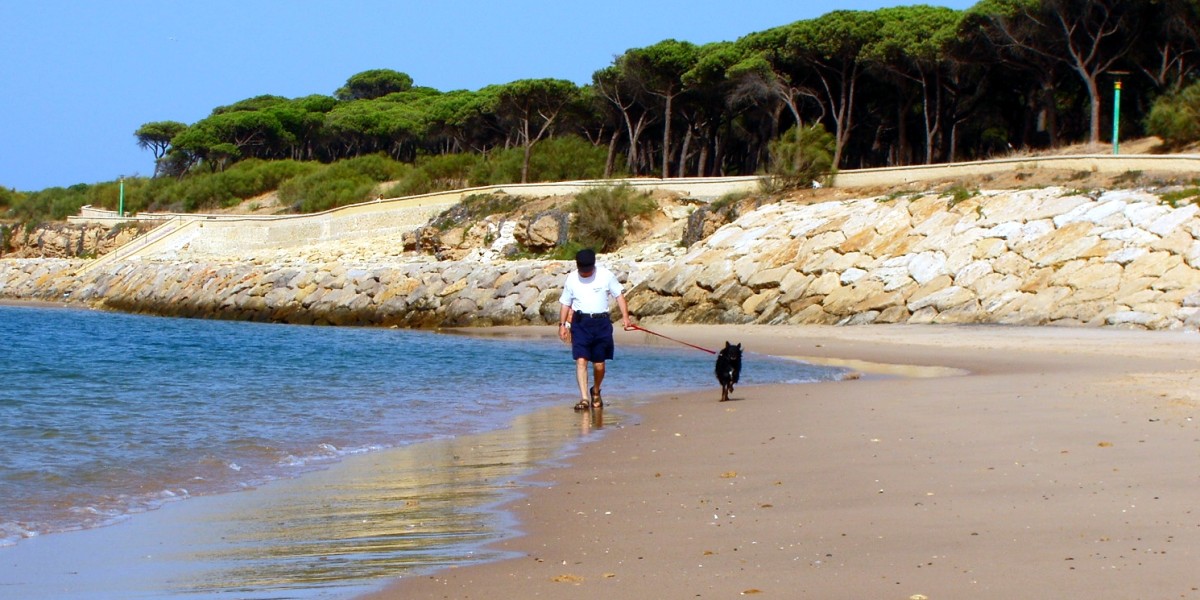 playas para perros en cadiz