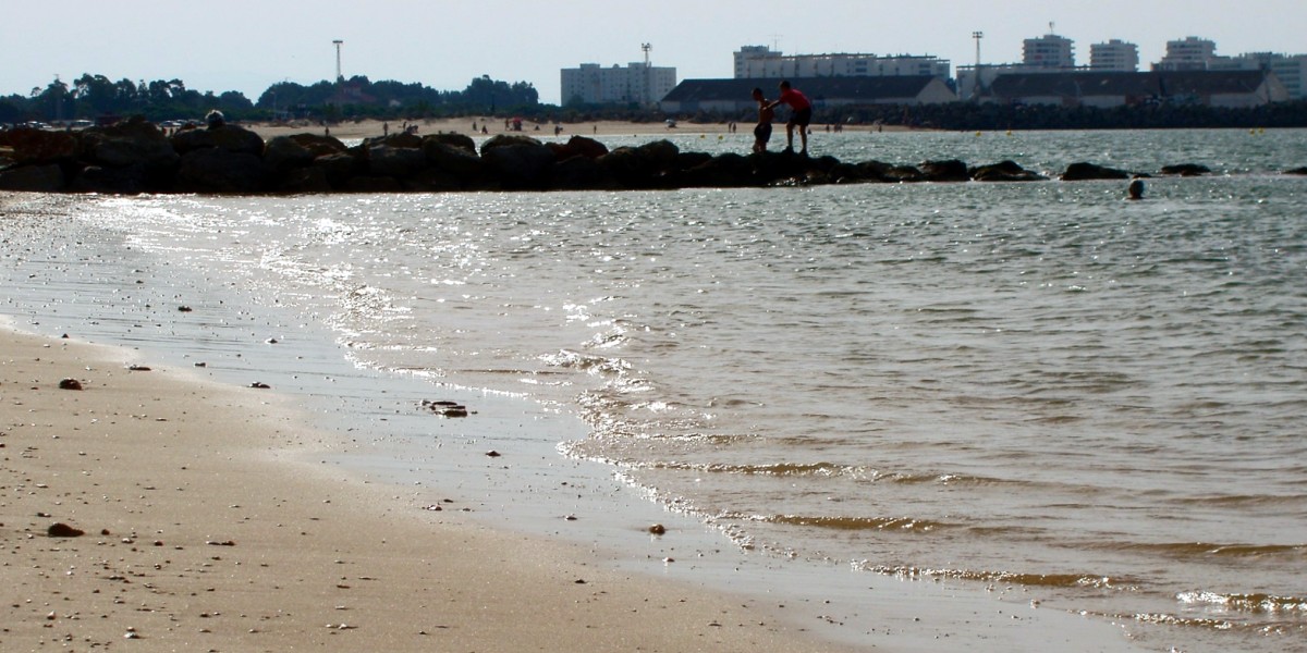playas para perros en cadiz
