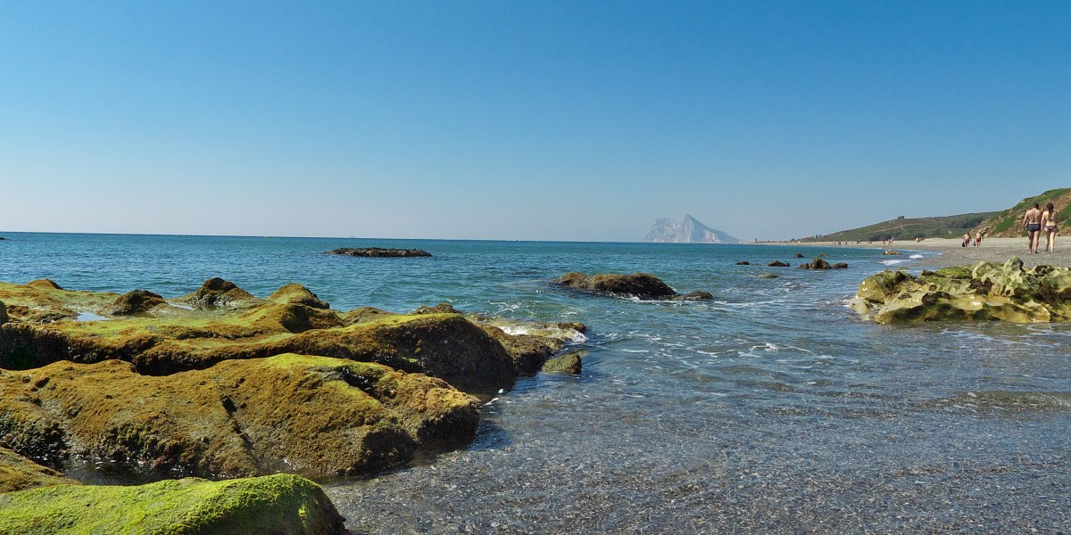 playas para perros en cadiz