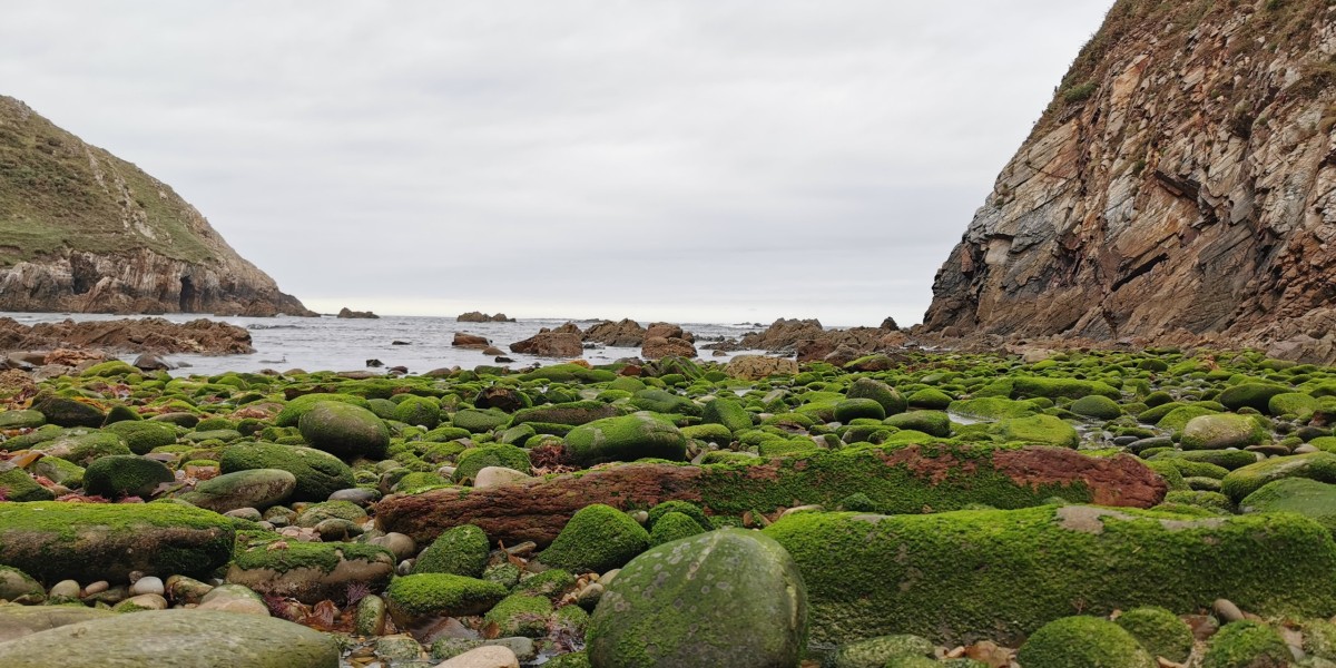 playas para perros en asturias