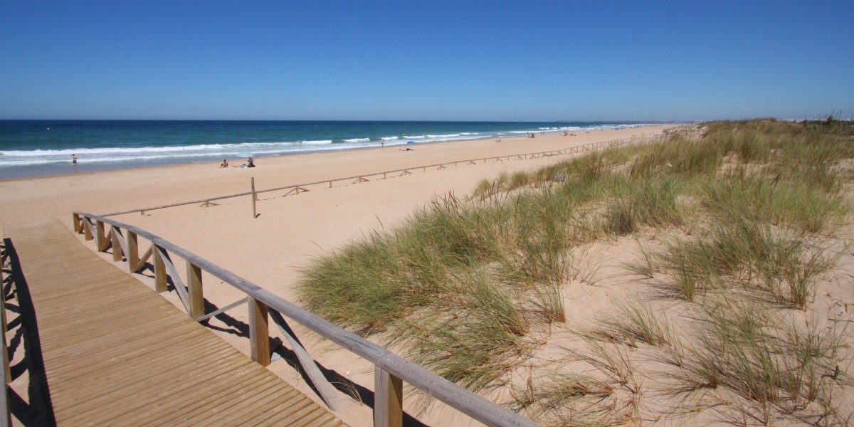 playas para perros en cadiz