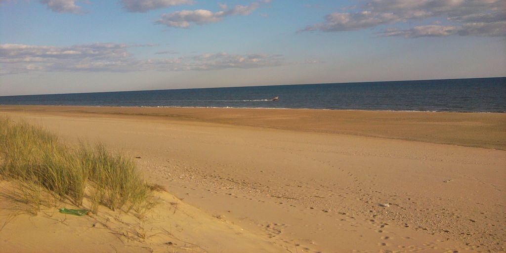 playas para perros en huelva
