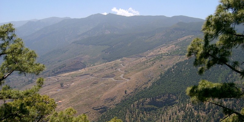 vinos tipicos de canarias