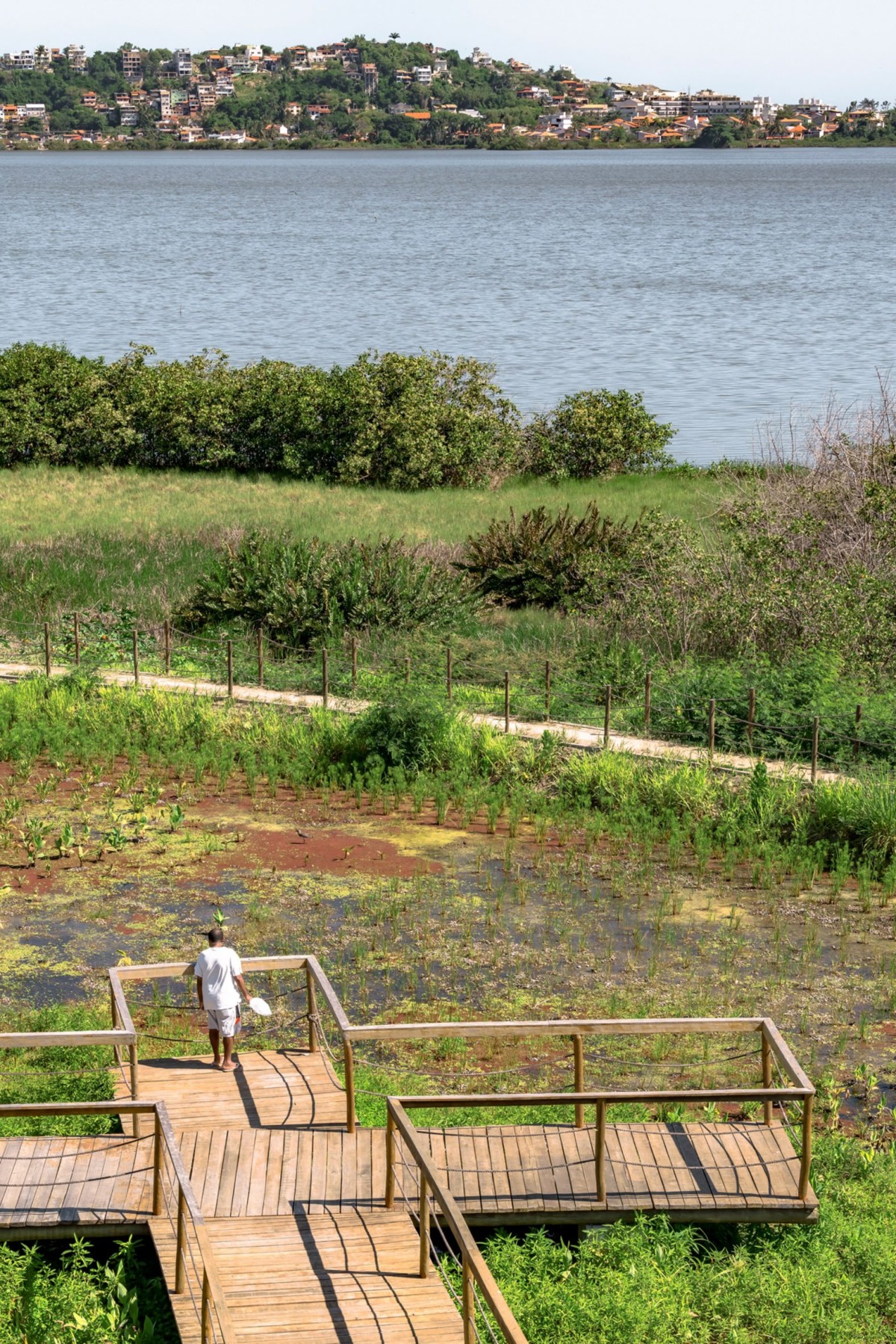 Se han implementado técnicas de reforestación con especies autóctonas y la creación de “jardines filtrantes” que actúan como sistemas naturales de depuración del agua.