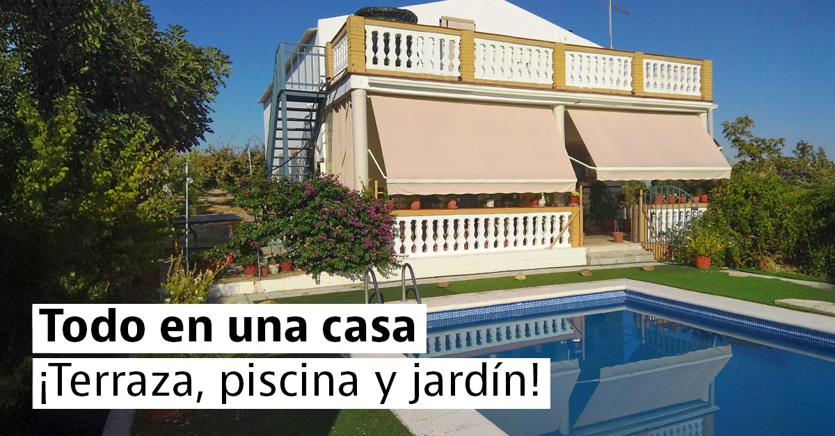 Date prisa, las ocasiones vuelan