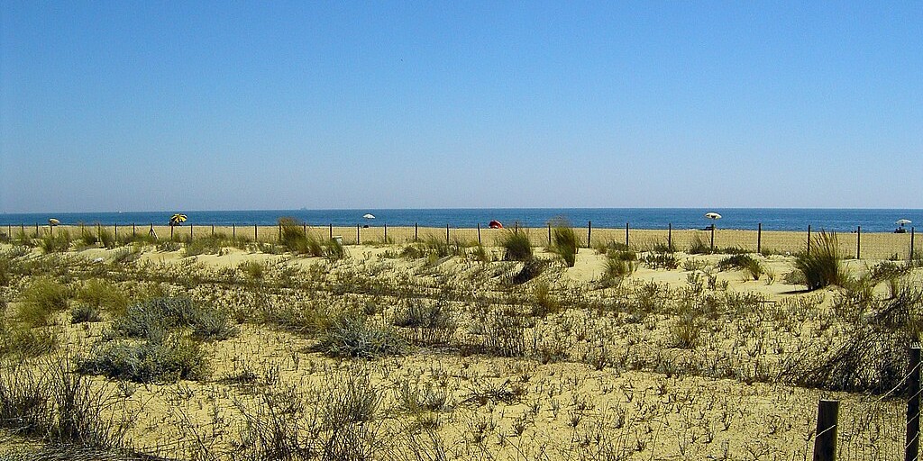 playas para perros en huelva
