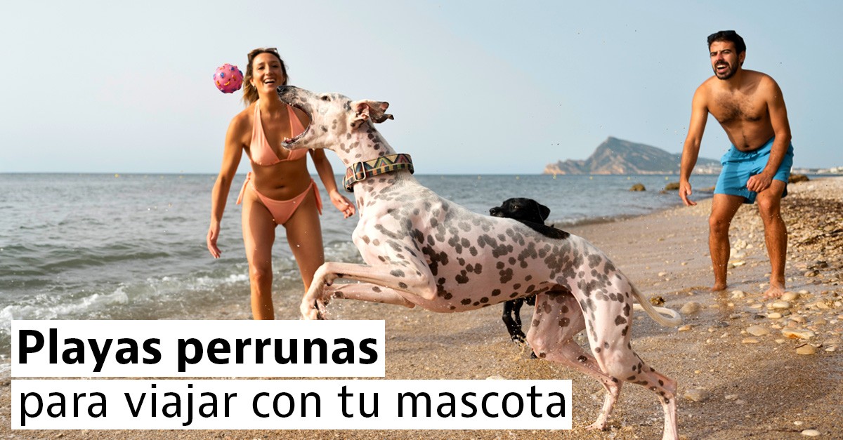 Playas para perros