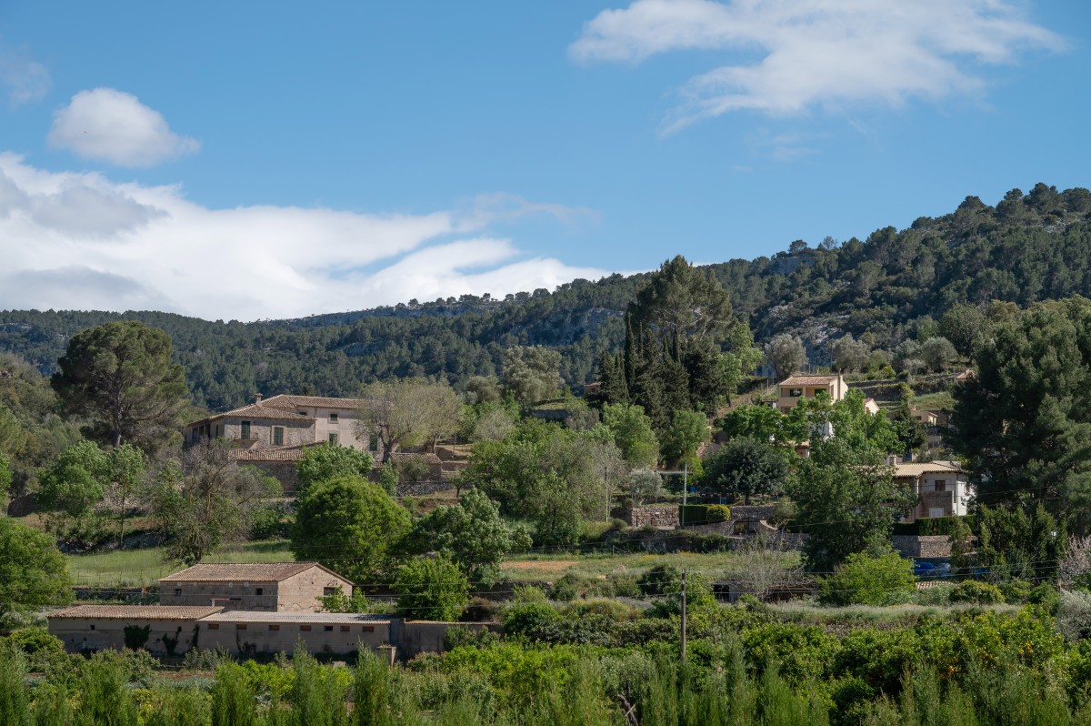 Baleares aprueba una ley que permitirá construir viviendas en suelos rústicos