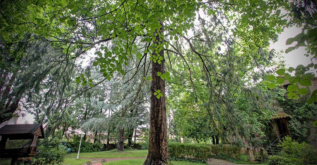 La casa de Luzmela: la antigua residencia de Concha Espina donde historia y literatura se abrazan