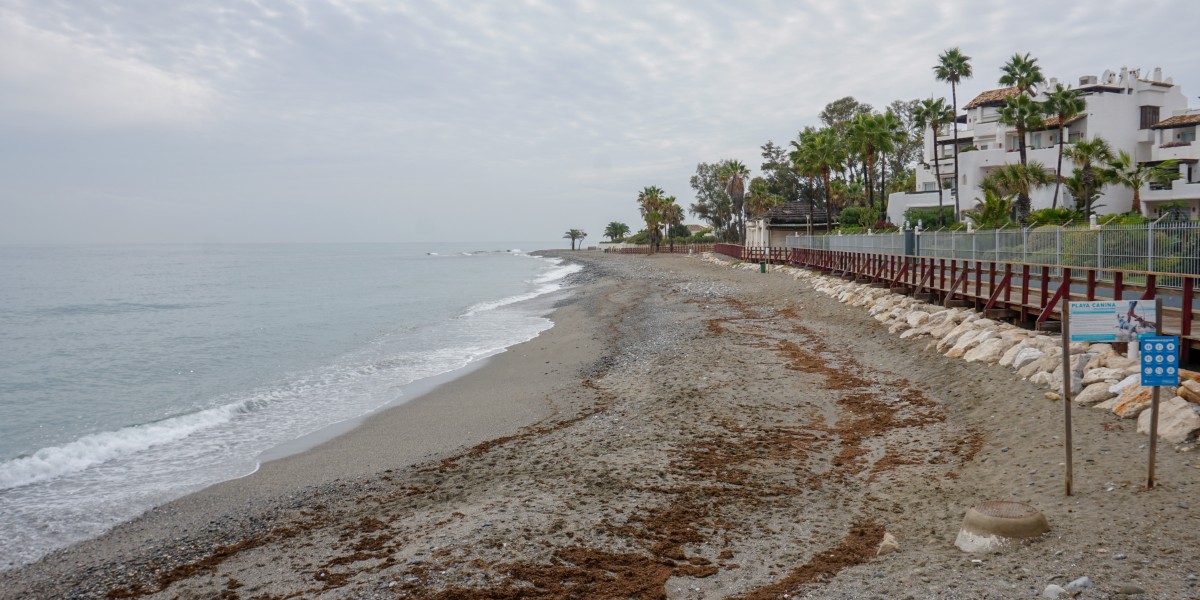 playas para perros en malaga