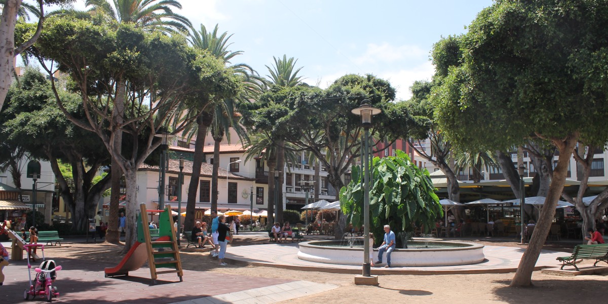 Things to do in Puerto de la Cruz