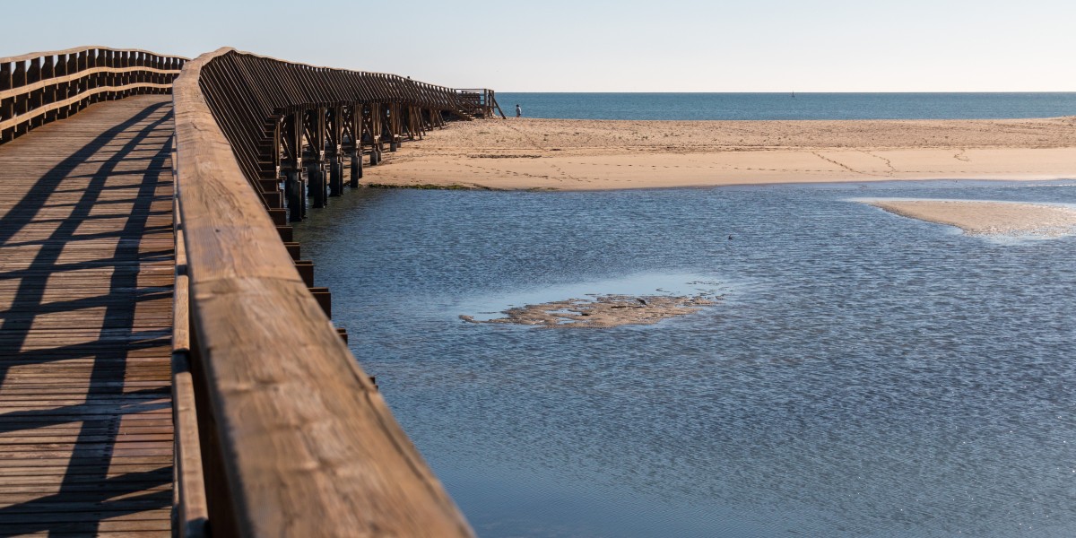 playas para perros en huelva