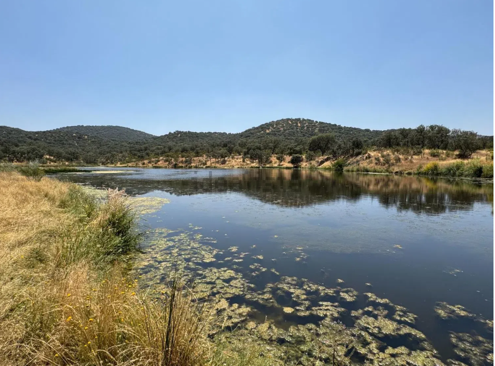 Fincas rústicas con lagos y pantanos en venta