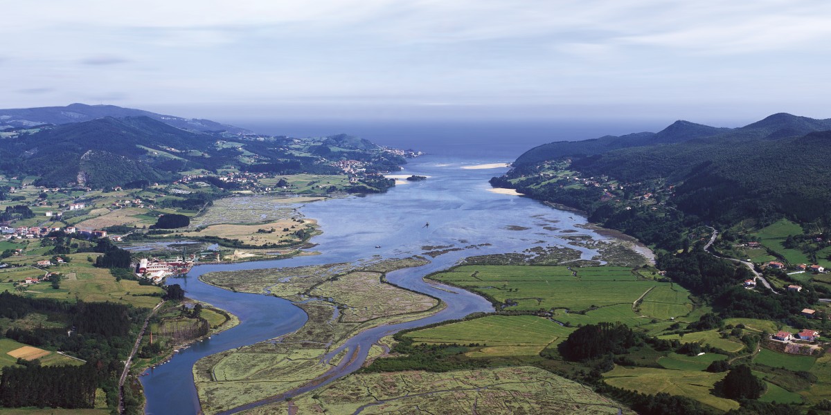 donde se rodo presunto culpable