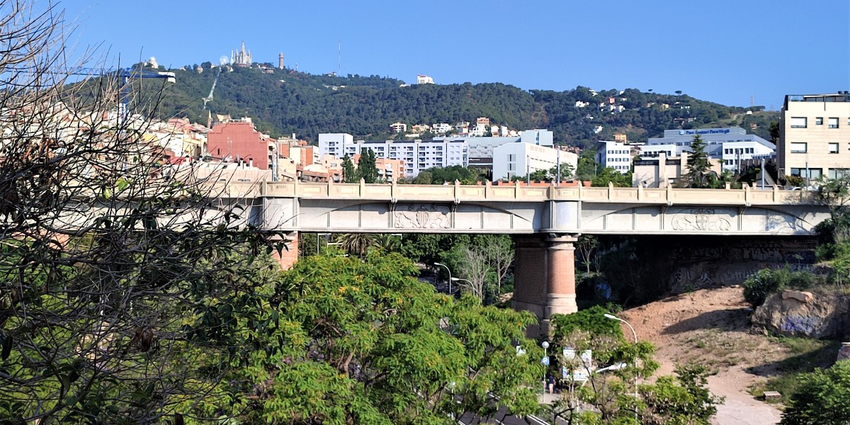 on viu joan manuel serrat