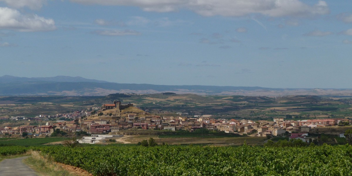 san vicente de la sonsierra