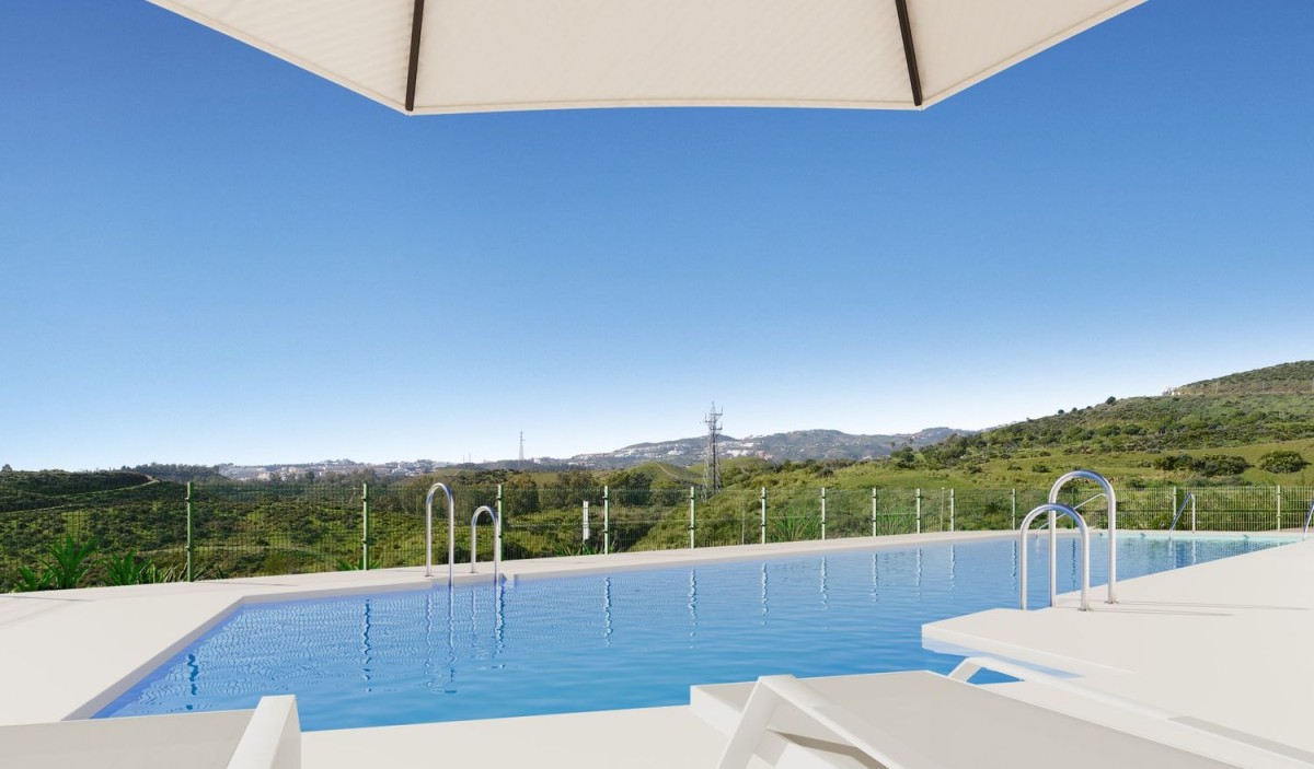 Swimming pool and views