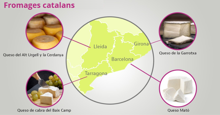 Meilleurs fromages catalans
