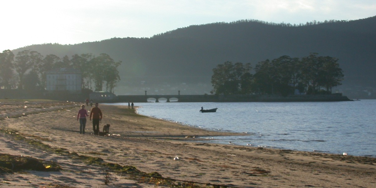 playas para perros en pontevedra