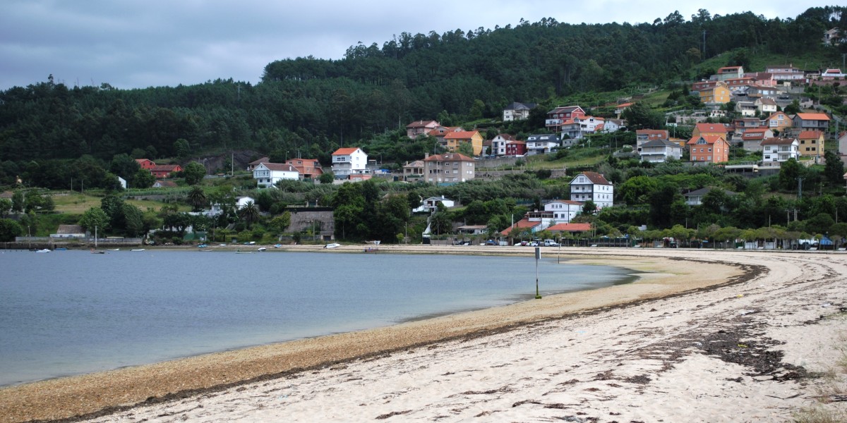 playas para perros en pontevedra