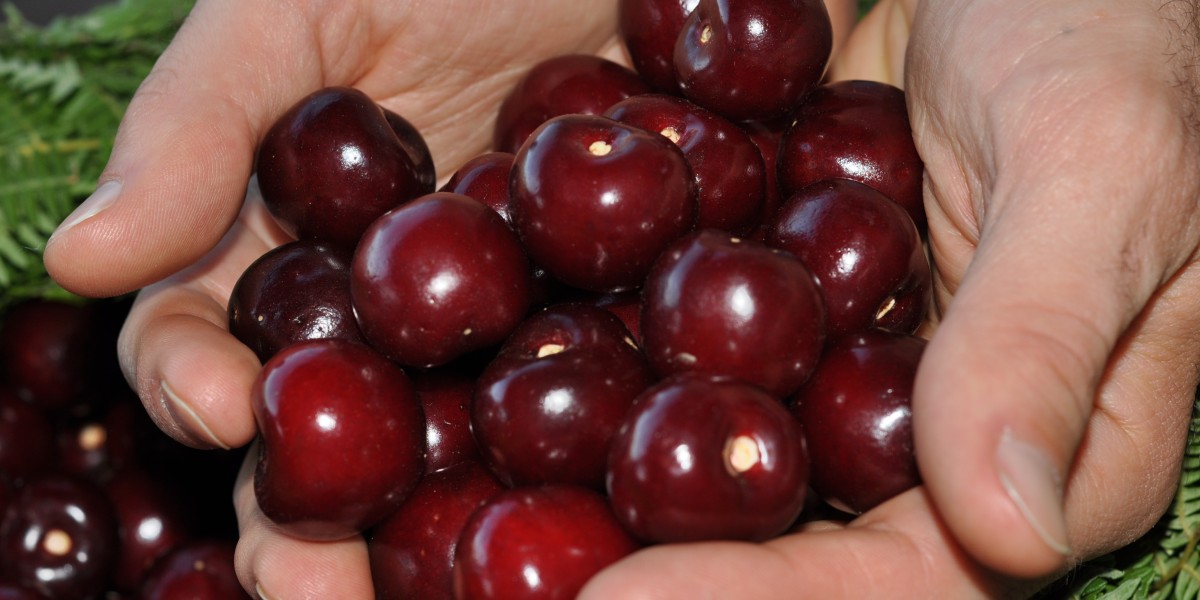 postres tipicos extremeños