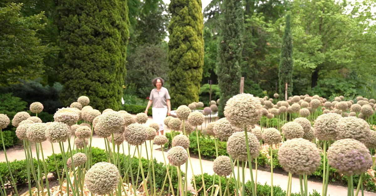 Ricarda Riina paseando entre flores de ajos 