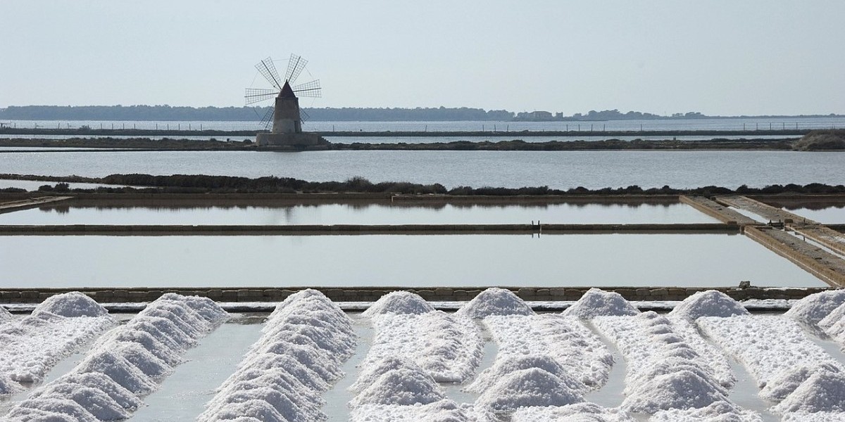 lagos salados del mundo