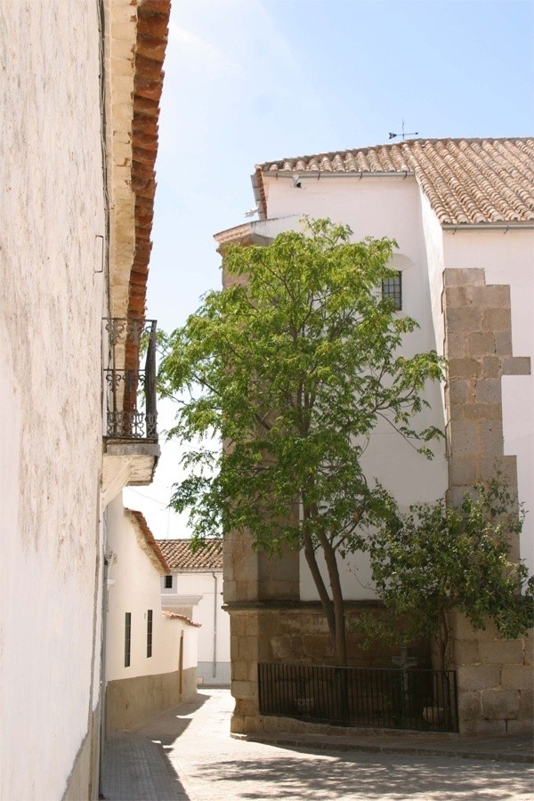 Torrecampo, Córdoba