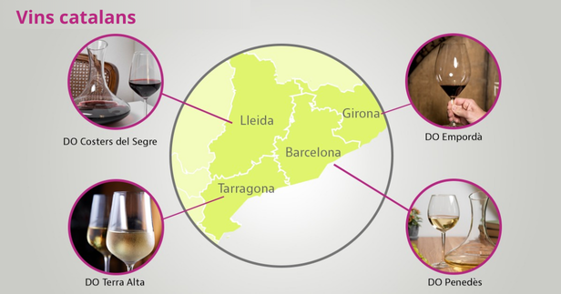 Meilleurs vins catalans