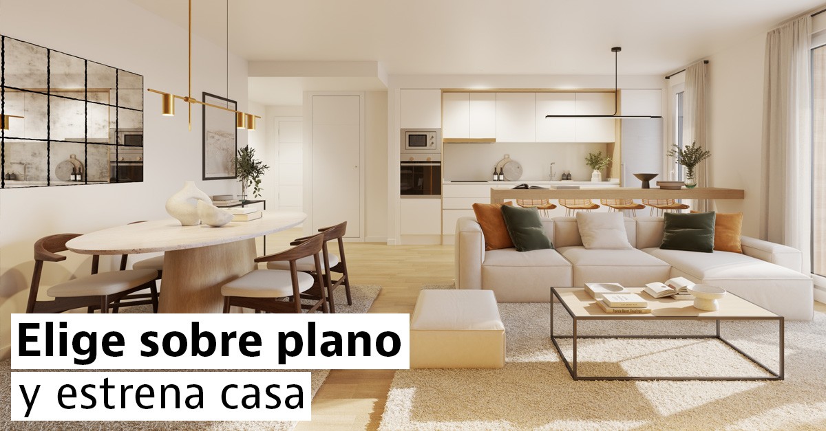 Obra nueva sobre plano