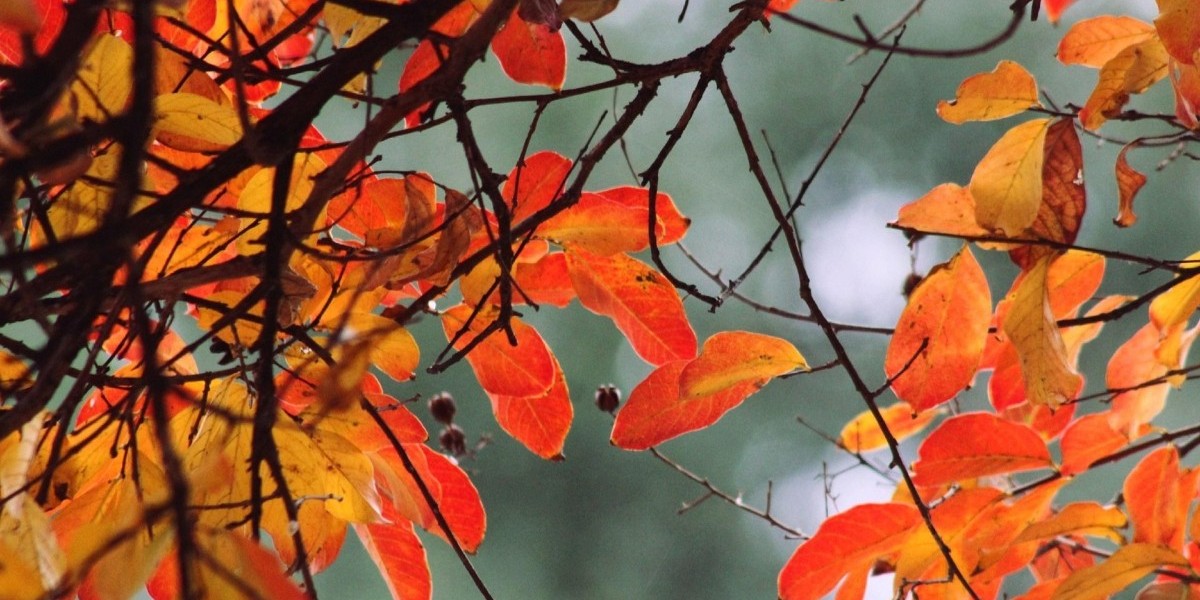 equinoccio otoño 2025