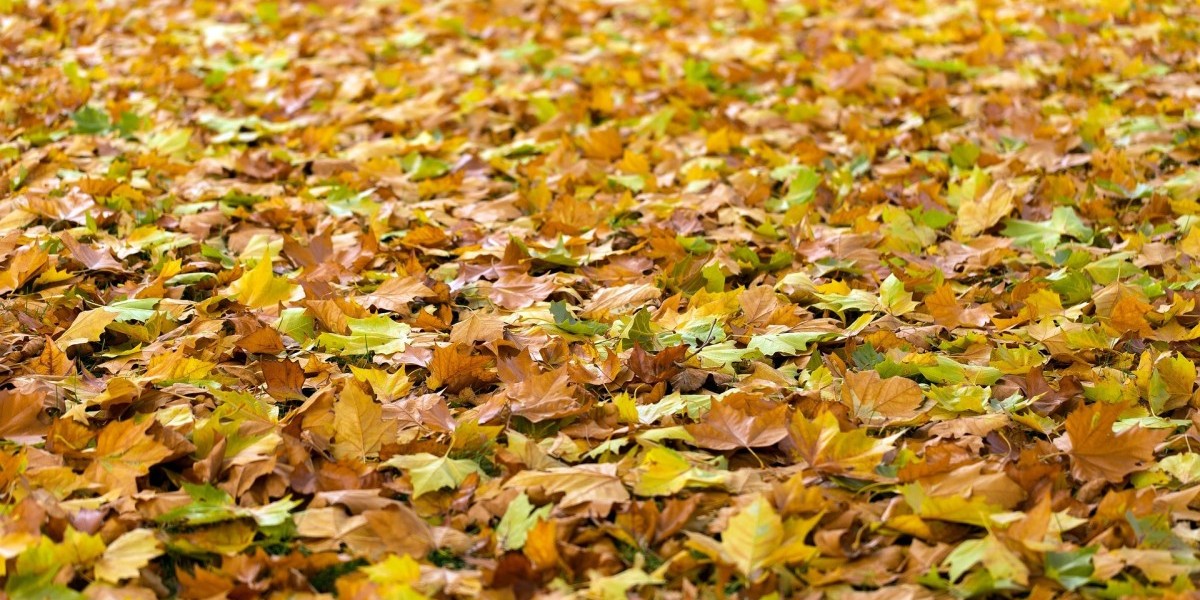 equinoccio otoño 2025