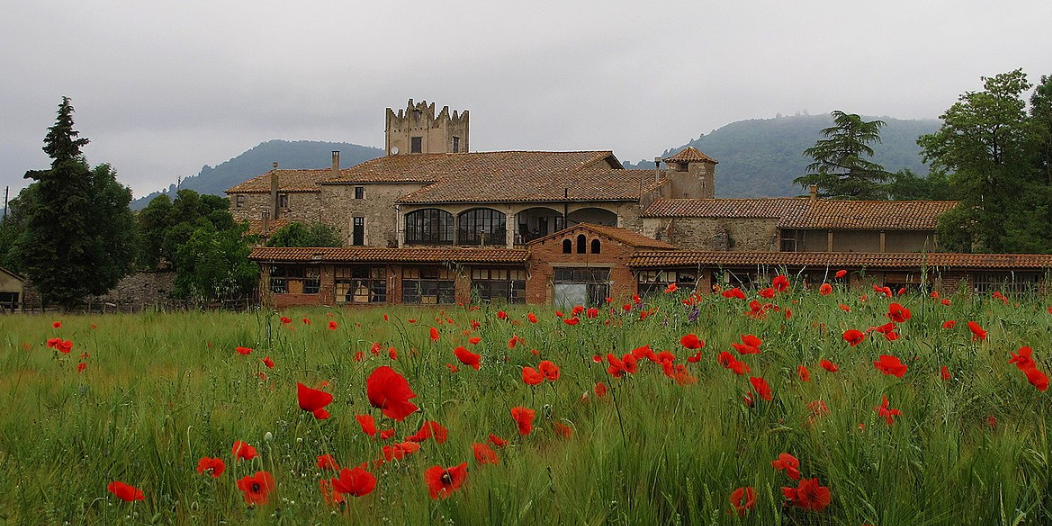 que veure al moianes