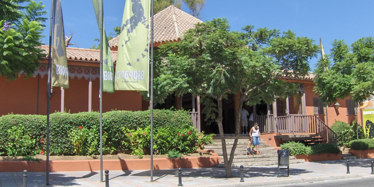 What to do in Fuengirola