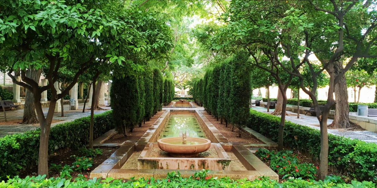 Living in Palma de Mallorca 