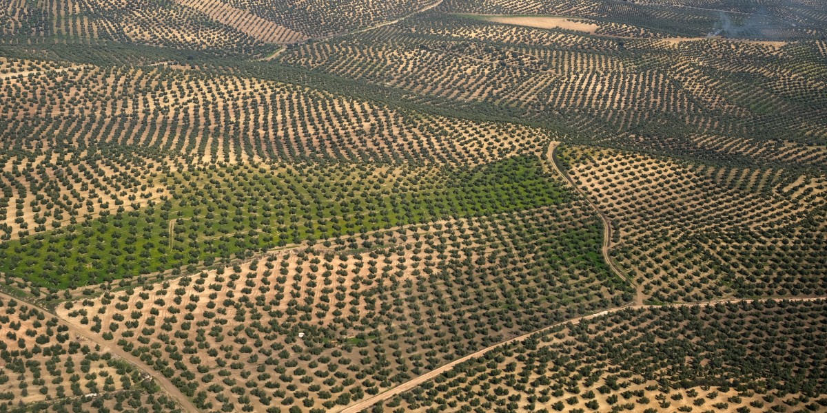 Life in Moclín Spain 