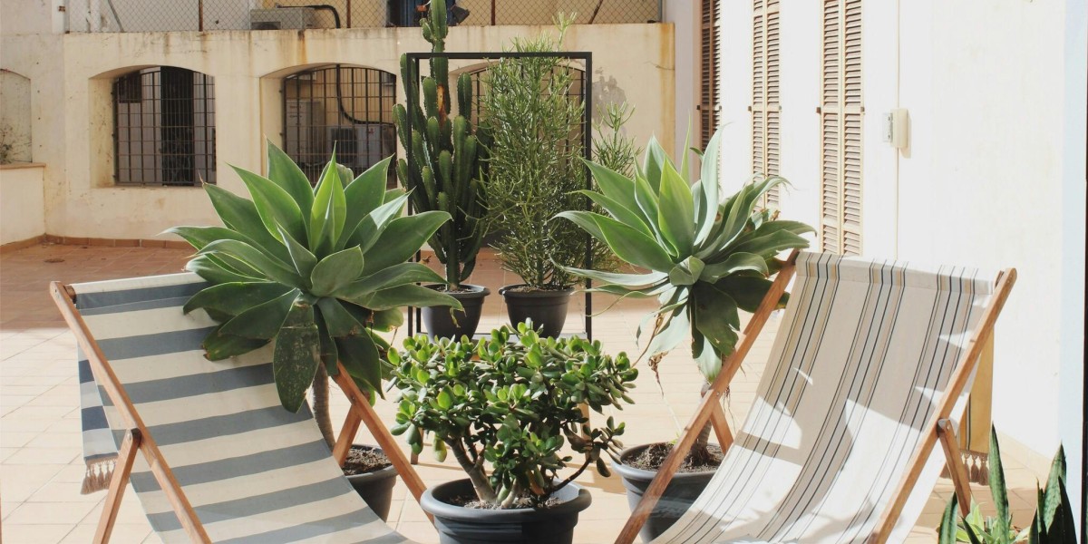 Things to do in Palma Nova