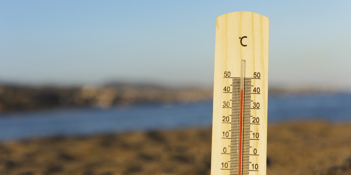 veranillo de san miguel