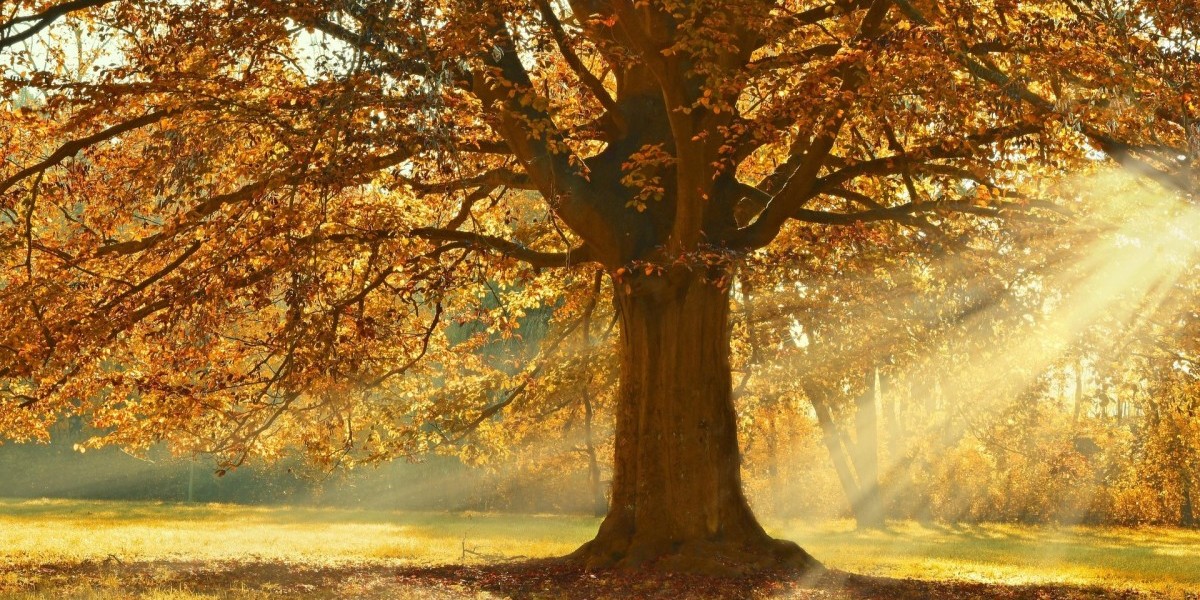 equinoccio otoño 2025