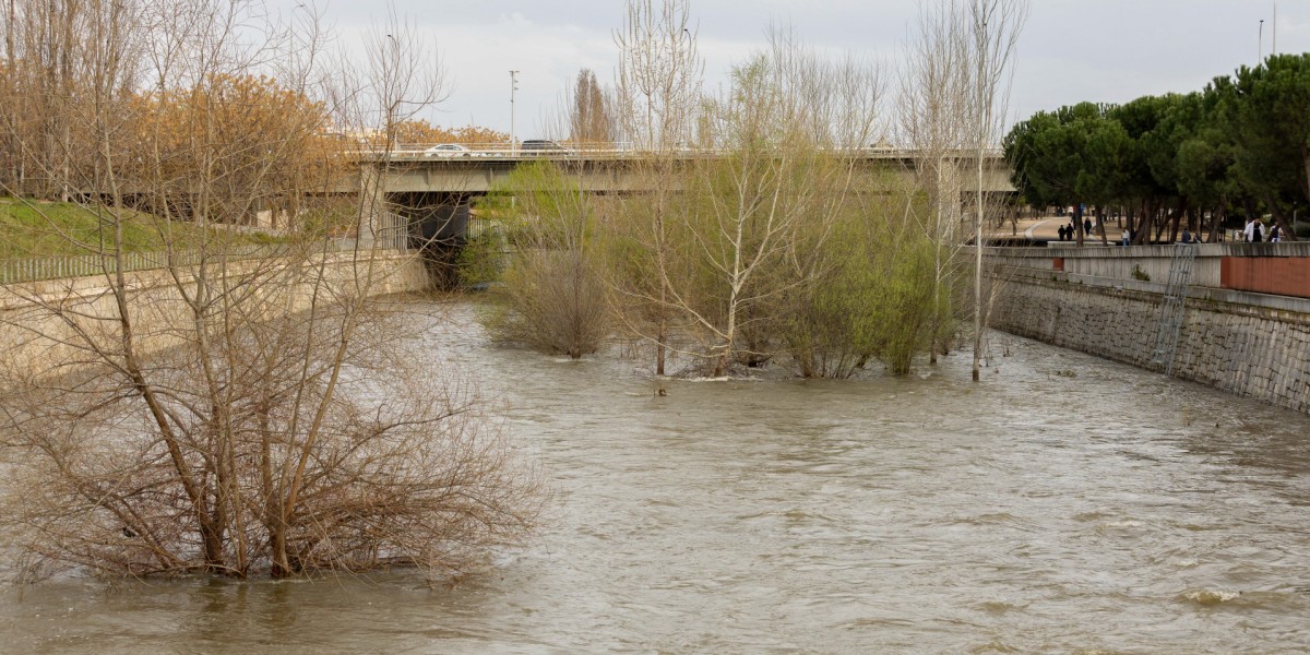 que hacer en una dana