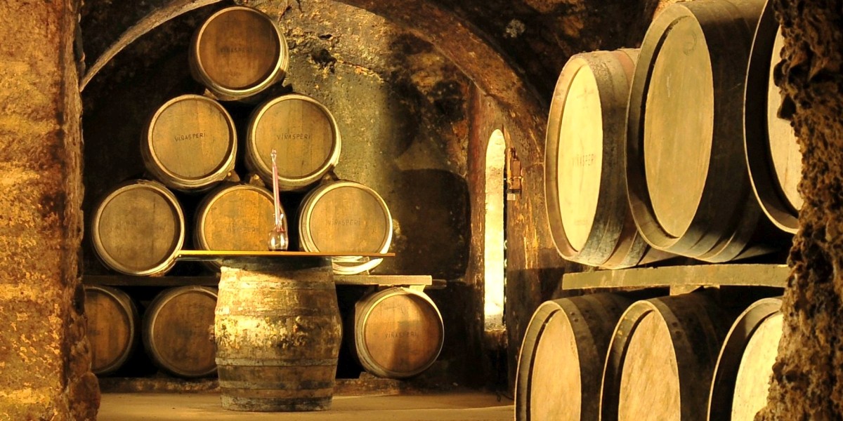 vinos tipicos de castilla la mancha