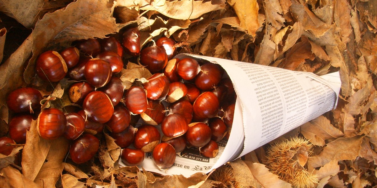 Chestnut festivals Spain