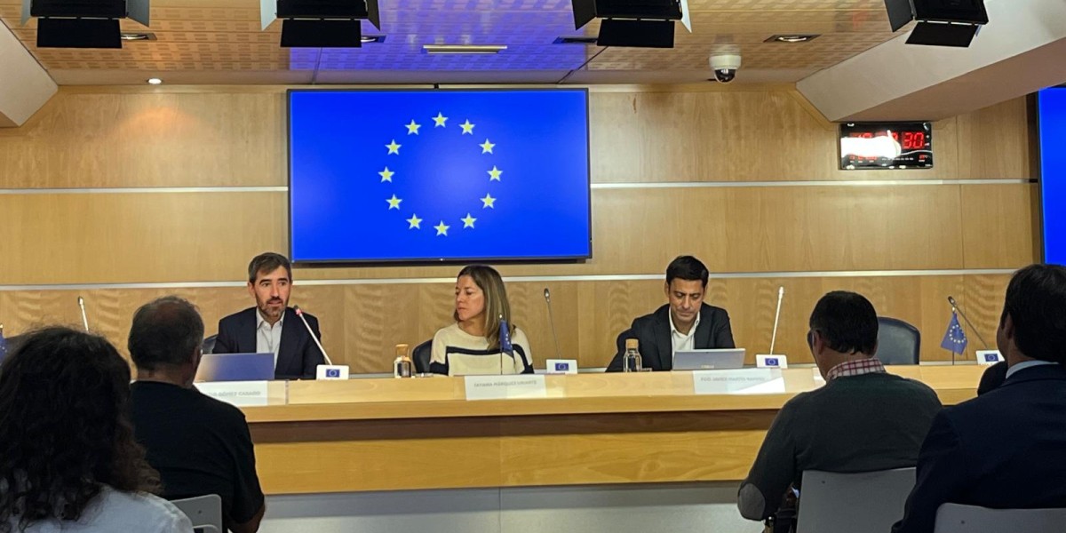 El consejero económico de España en la UE, Eduardo Gómez Casado, la responsable de España en el Grupo de Trabajo de Vivienda de la CE, Tatiana Márquez Uriarte, y el director General de vivienda y Suelo del MIVAU, Francisco Javier Martín