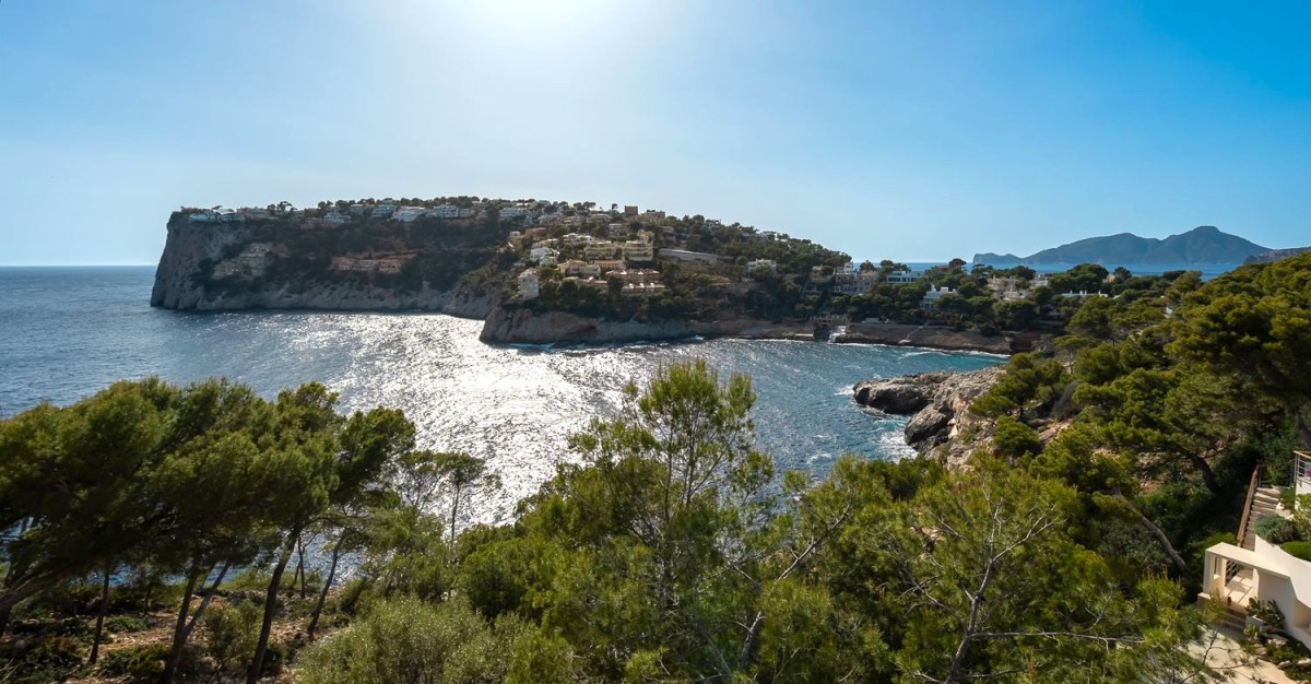 Views from the property