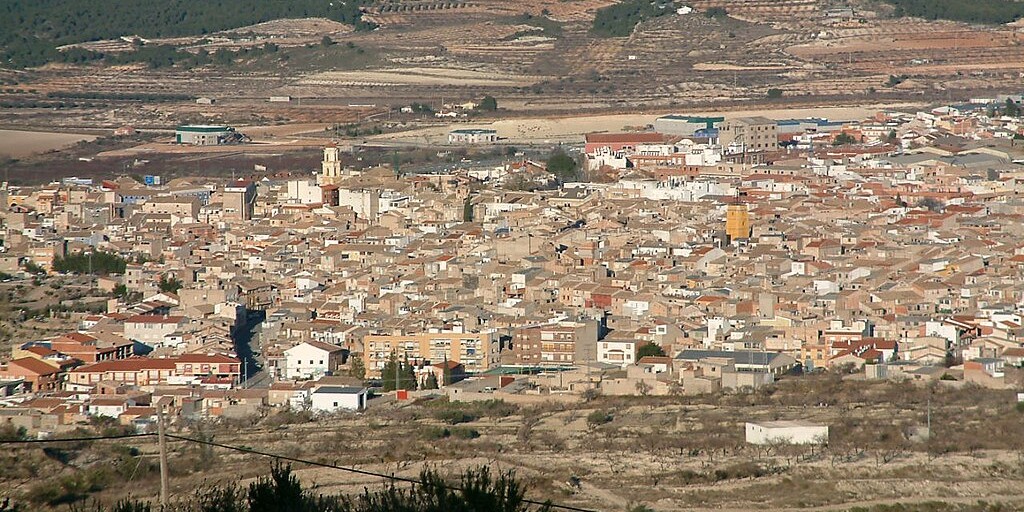 vinos tipicos de murcia