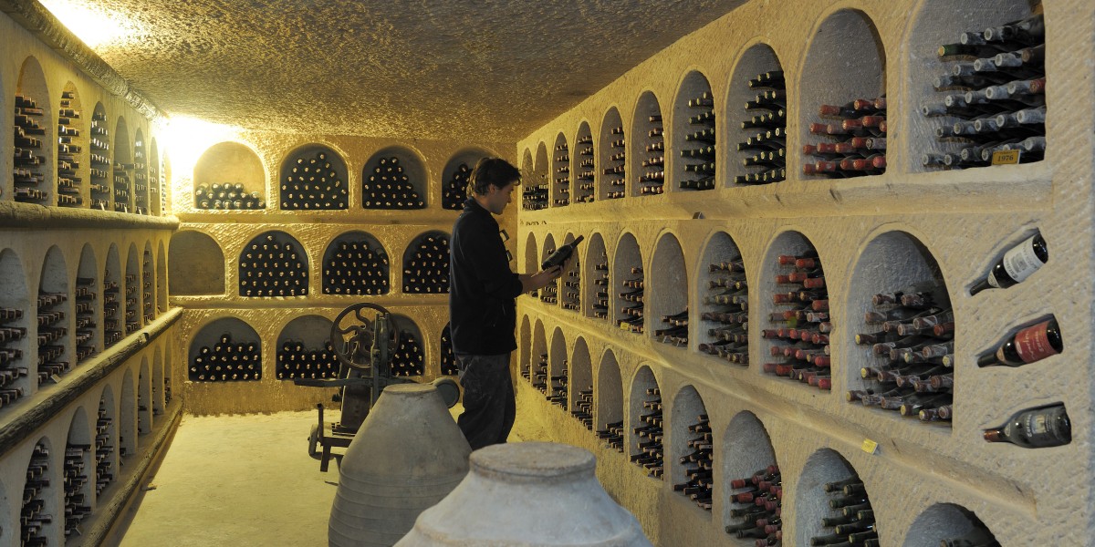 Bodega de vino