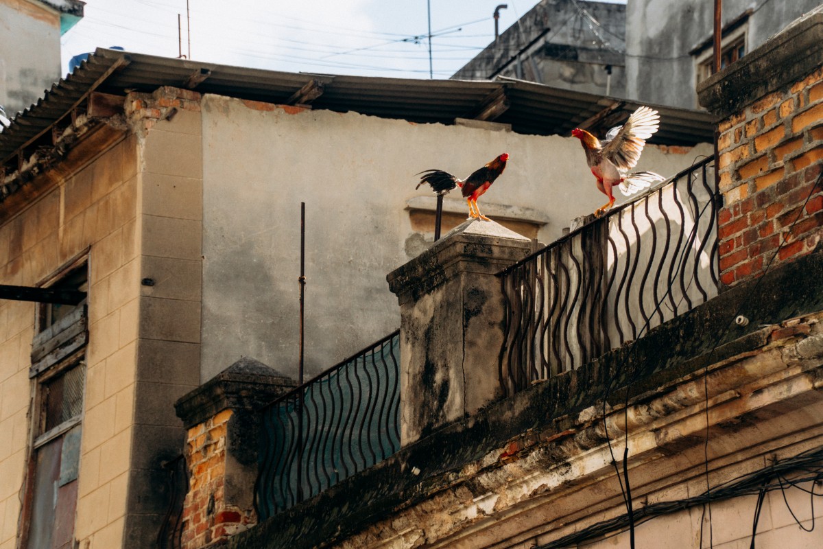 Ni comprar ni alquilar: el callejón sin salida de miles de españoles