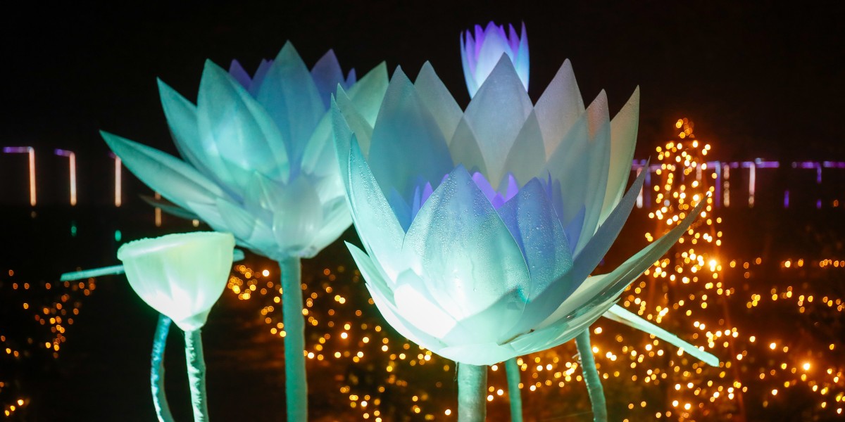 Accensione delle luci di Natale in Spagna nel 2025