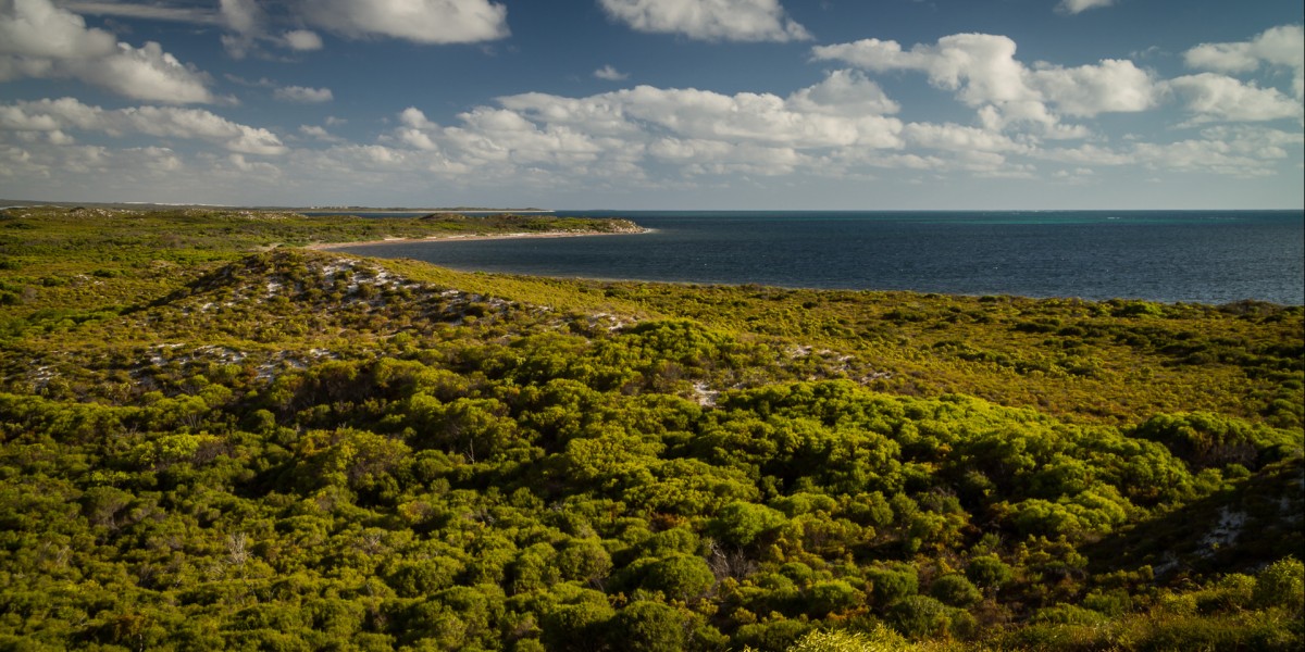 Cervantes, the Spanish town of Australia